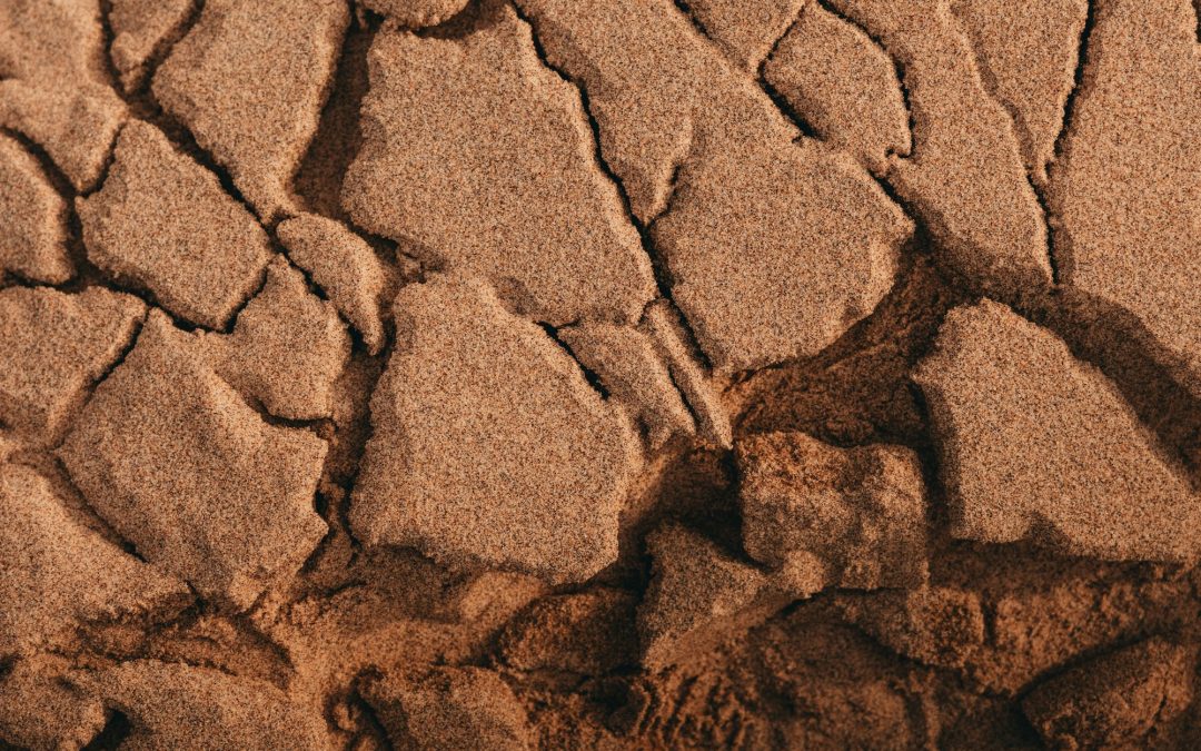 Directors’ Liability for Underpayment