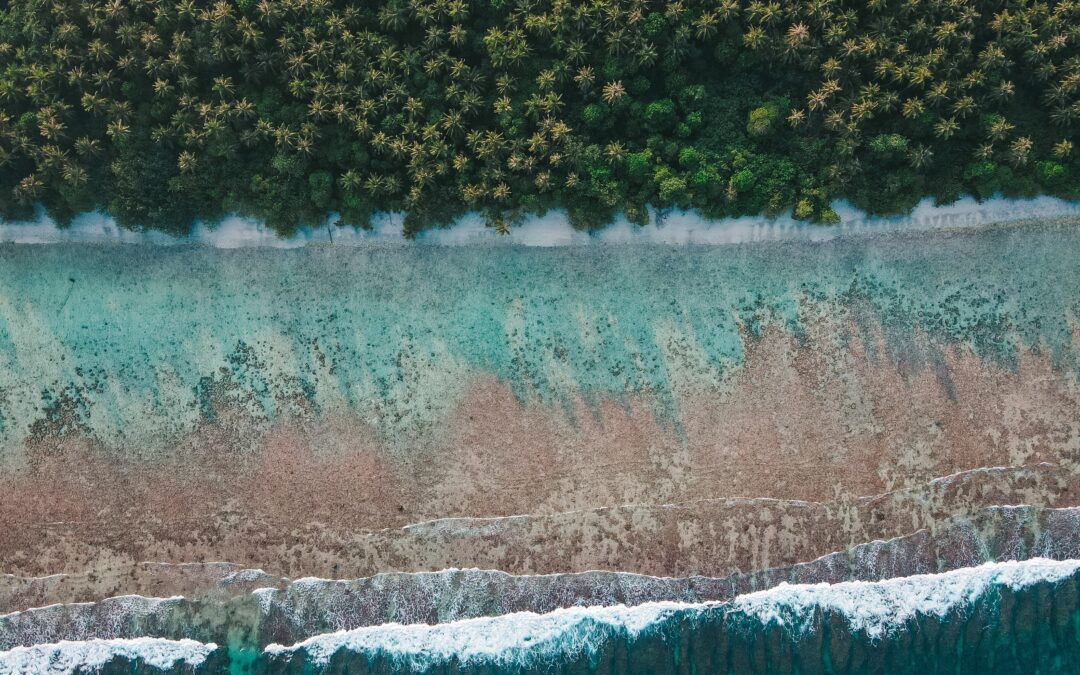 What To Do About Lost Share Certificates