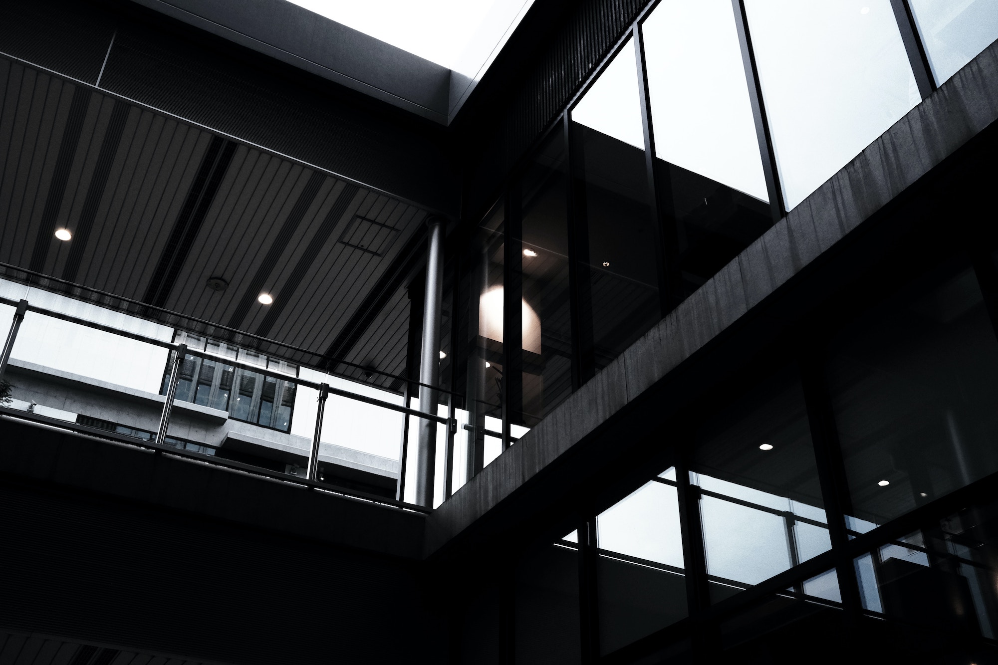 Are you an executive responding to a workplace complaint or investigation?
