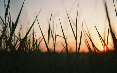 Banking Royal Commission Guide – Part 1: Changes Due To Restructure