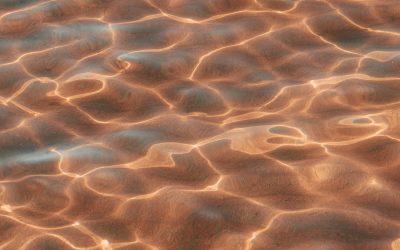 Things to consider before signing an executive employment contract