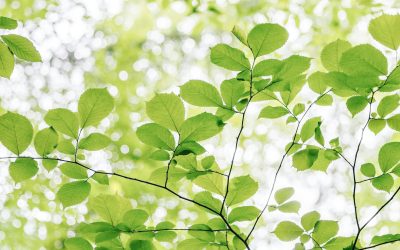 Minimum Wage Increase In Modern Awards