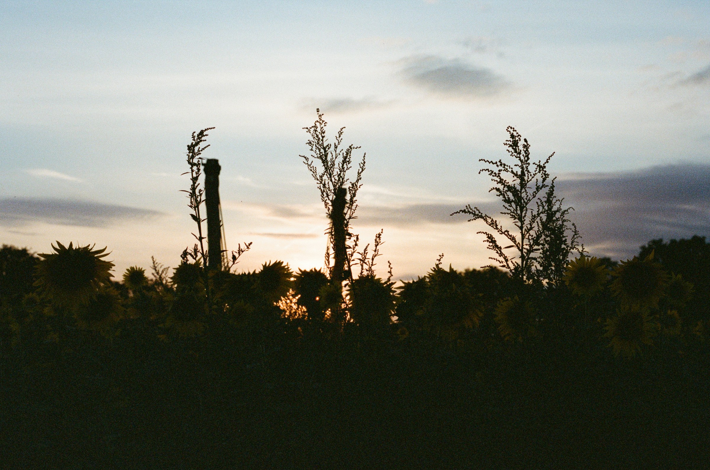 20250902 Mandatory policy requirements under whistleblower laws