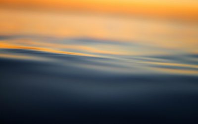 Bullying Or Harassment? That Is The Question