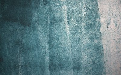 What is a Notice to Show Cause (NTSC) issued by NSW Fair Trading?