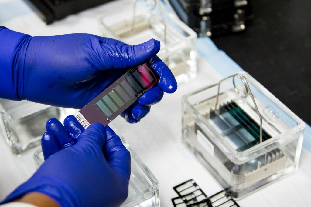 Drug and alcohol testing at work: when must employees comply?