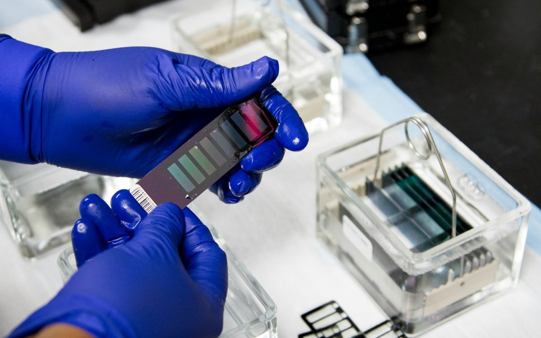 Drug and alcohol testing at work: when must employees comply?