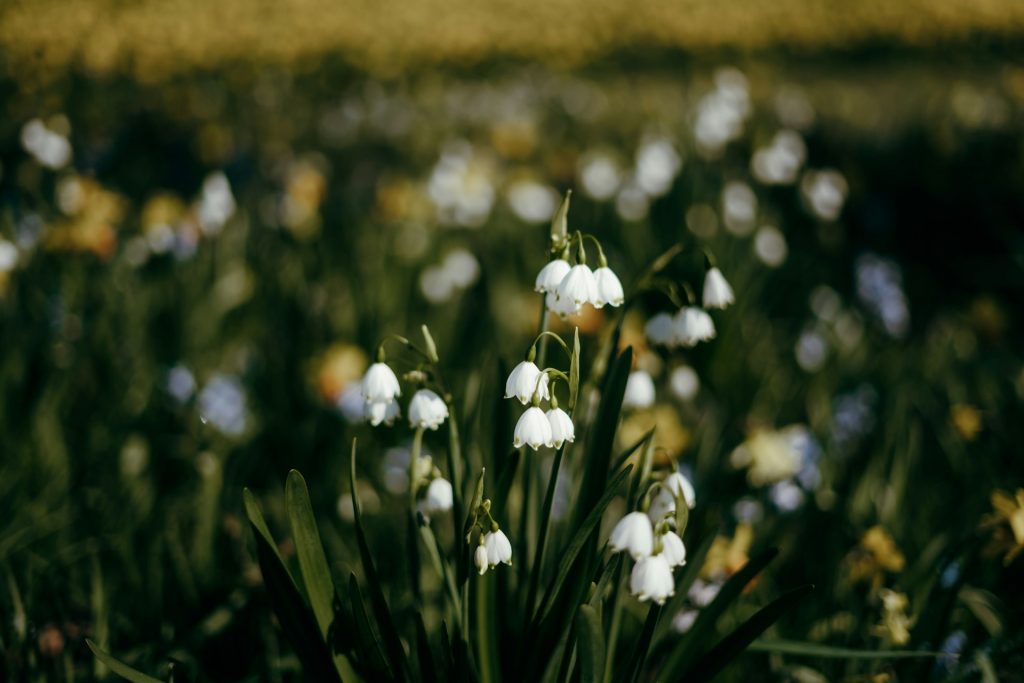 guide to reducing full-time hours lawfully