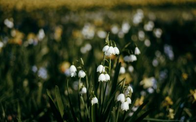 What to do when there’s less work: A guide to reducing full-time hours lawfully