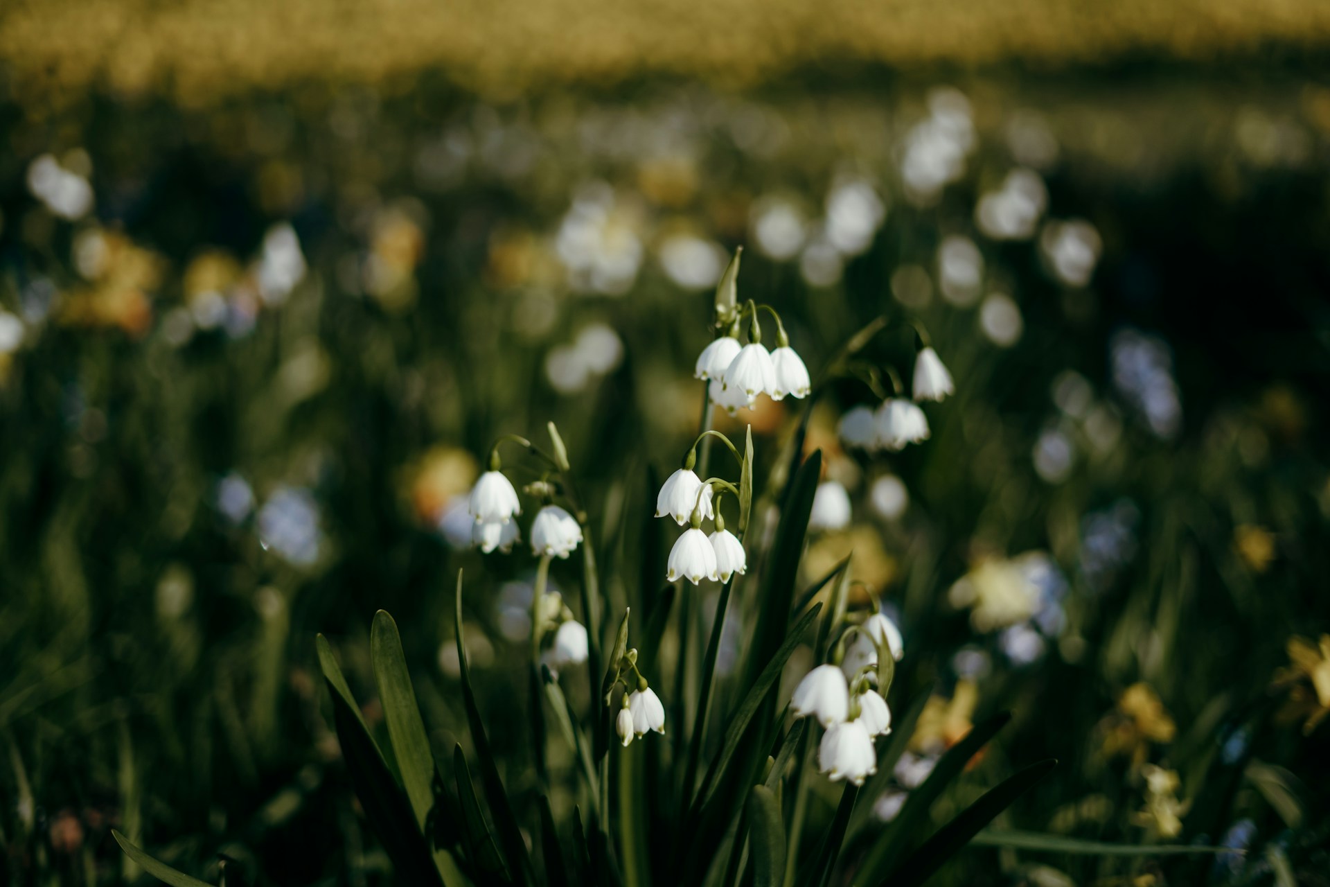 guide to reducing full-time hours lawfully